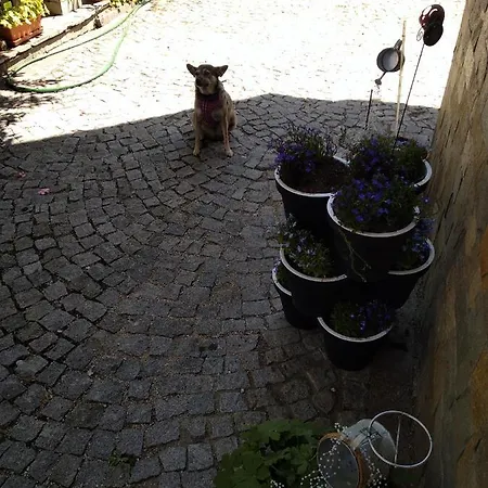 Kalina Апартаменты *