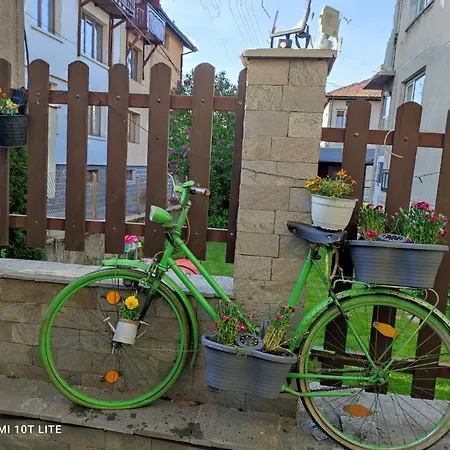 아파트 Kalina 반스코