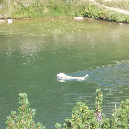 Kalina * Банско